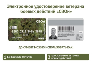 Об электронных удостоверениях  ветеранов боевых действий
