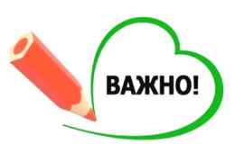 Министр разъяснила порядок региональных выплат участникам специальной военной операции