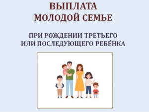 Единовременная выплата при рождении третьего (и последующих) ребенка для молодых многодетных семей Владимирской области