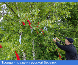 Троица-праздник русской березки.