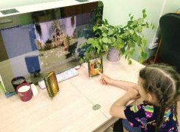 Нравственное и культурное воспитание ребенка
