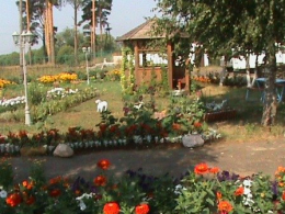 Здоровье не купишь