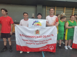  «Владимирские львы»