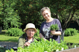 От семян до первых всходов — огородные хлопоты
