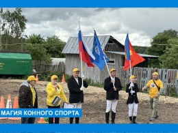 На соревнованиях по конному спорту