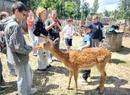 В гостях у пятнистых оленей