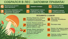 О правилах поведения в лесу