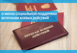 Меры социальной поддержки ветеранам боевых действий