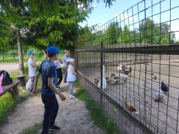 "Дружные ребята" в гостях у "Зазеркалья"