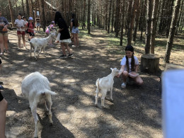День среди природы