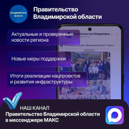 Подписывайтесь на официальный МАКС-канал Правительства Владимирской области