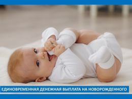 Дополнительные меры поддержки семей при рождении ребенка во Владимирской области