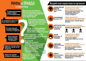 Мир без наркотиков