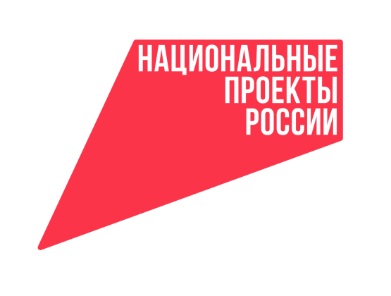 Национальные проекты России