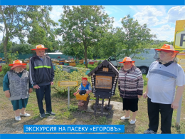 Экскурсия на пасеку 