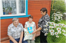 Душевная ромашка 