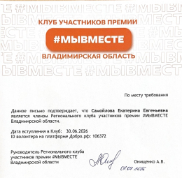 #МЫВМЕСТЕРегион33    