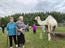 Поездке на звероферму «Веселое подворье» 