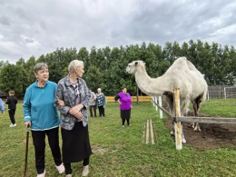 Поездке на звероферму «Веселое подворье» 