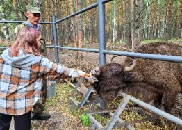 В гостях у лесных великанов