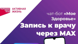 Чат-бот "Моё здоровье. Владимирская область" в MAX!