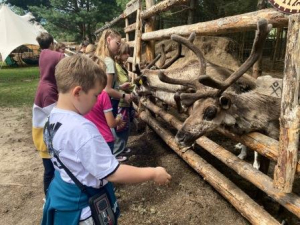 Пушистые друзья: один день в эко-парке