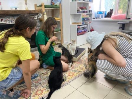 Незабываемый день в котокафе "Мурчелло"