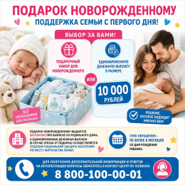 #НацпроектСемья #СоцЗащита33