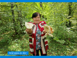 "Прогулка в лес"