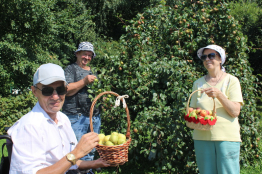 Чудесами урожая нас снова август удивит!