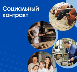 Государственная социальная помощь на основании социального контракта на условиях софинансирования