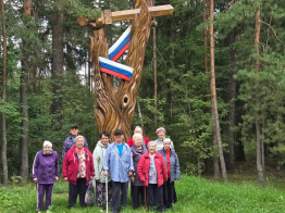 Прогулка + доброе дело!