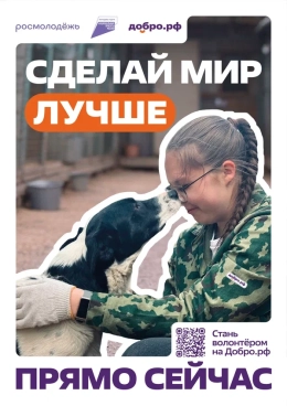 Добровольчество – это важно!