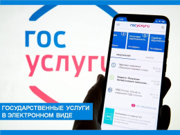 Государственные услуги в электронном виде