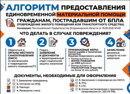 Алгоритм предоставления единовременной материальной помощи гражданам при повреждении жилого помещения или транспортного средства, пострадавшим от БПЛА