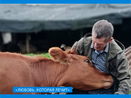 "Любовь, которая лечит"