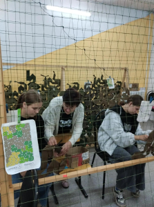 Ленточки добра