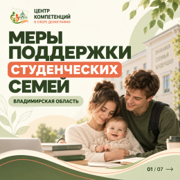 Какие меры поддержки доступны студенческим семьям во Владимирской области?