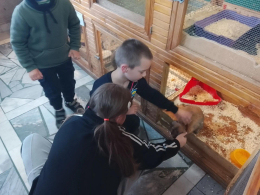 Зеленая гостиная