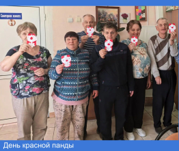День красной панды