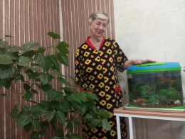 Виртуальное погружение