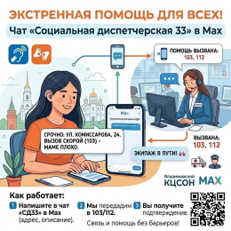 Чат «Социальная диспетчерская 33» в приложении МАХ