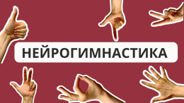 Зарядка для мозга и путь к активному долголетию