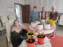 Гарденотерапия — это не просто хобби