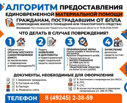 Единовременная материальная помощь гражданам в связи с повреждением жилого помещения, транспортного средства после применения на территории Владимирской области средств воздушного нападения