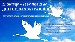 Белые журавли памяти… 