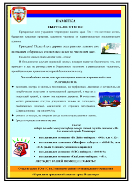 Сберечь лес от огня