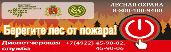 Берегите лес от пожара