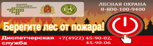 береги лес от пожара