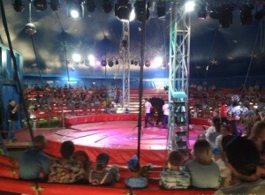 Цирковое представленье поднимает настроенье!